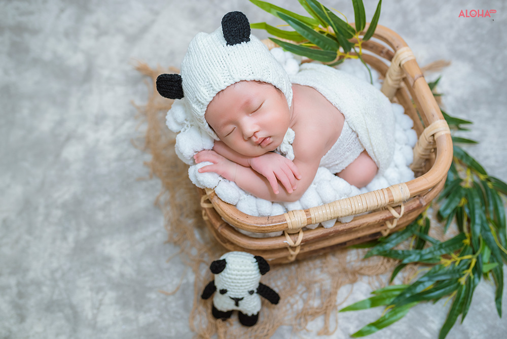 Ý tưởng chụp ảnh gấu trúc nhỏ xinh cho bé